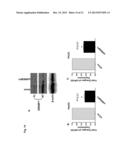 A METHOD OF ENHANCING MIR-185 EXPRESSION TO REDUCE LOW DENSITY     LIPOPROTEIN/CHOLESTEROL ACCUMULATION IN A CELL diagram and image