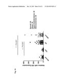 A METHOD OF ENHANCING MIR-185 EXPRESSION TO REDUCE LOW DENSITY     LIPOPROTEIN/CHOLESTEROL ACCUMULATION IN A CELL diagram and image