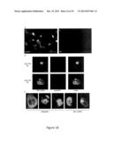 Cell-Based Models of Neurodegenerative Disease diagram and image