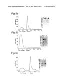 Antigen-Binding Protein Directed Against Epitope in the CH1 Domain of     Human IgG Antibodies diagram and image