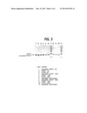 MUTANT PROTEINASE WITH REDUCED SELF-CLEAVAGE ACTIVITY AND METHOD OF     PURIFICATION diagram and image