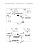 COVALENT TETHERING OF FUNCTIONAL GROUPS TO PROTEINS AND SUBSTRATES     THEREFOR diagram and image