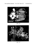 COVALENT TETHERING OF FUNCTIONAL GROUPS TO PROTEINS AND SUBSTRATES     THEREFOR diagram and image