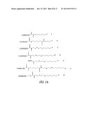 COVALENT TETHERING OF FUNCTIONAL GROUPS TO PROTEINS AND SUBSTRATES     THEREFOR diagram and image