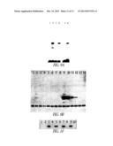 COVALENT TETHERING OF FUNCTIONAL GROUPS TO PROTEINS AND SUBSTRATES     THEREFOR diagram and image