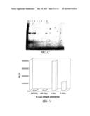 COVALENT TETHERING OF FUNCTIONAL GROUPS TO PROTEINS AND SUBSTRATES     THEREFOR diagram and image