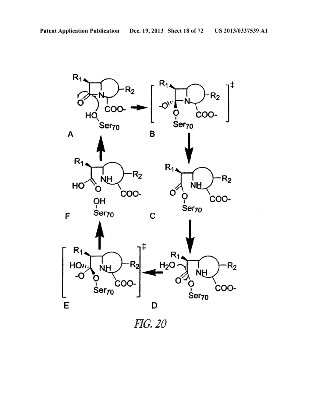 COVALENT TETHERING OF FUNCTIONAL GROUPS TO PROTEINS AND SUBSTRATES     THEREFOR - diagram, schematic, and image 19