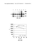 COVALENT TETHERING OF FUNCTIONAL GROUPS TO PROTEINS AND SUBSTRATES     THEREFOR diagram and image