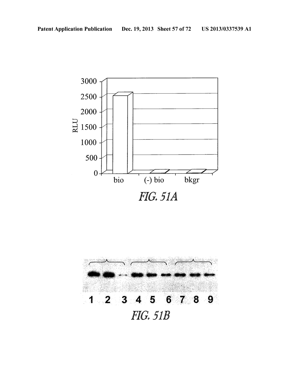 COVALENT TETHERING OF FUNCTIONAL GROUPS TO PROTEINS AND SUBSTRATES     THEREFOR - diagram, schematic, and image 58