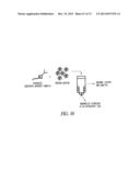 COVALENT TETHERING OF FUNCTIONAL GROUPS TO PROTEINS AND SUBSTRATES     THEREFOR diagram and image