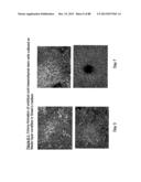 ISOLATION, CULTIVATION AND USES OF STEM/PROGENITOR CELLS diagram and image