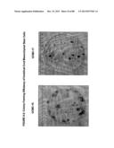 ISOLATION, CULTIVATION AND USES OF STEM/PROGENITOR CELLS diagram and image