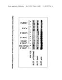 ISOLATION, CULTIVATION AND USES OF STEM/PROGENITOR CELLS diagram and image