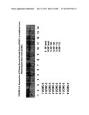 ISOLATION, CULTIVATION AND USES OF STEM/PROGENITOR CELLS diagram and image