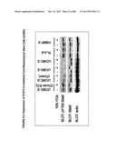 ISOLATION, CULTIVATION AND USES OF STEM/PROGENITOR CELLS diagram and image