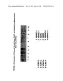 ISOLATION, CULTIVATION AND USES OF STEM/PROGENITOR CELLS diagram and image