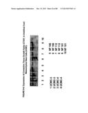 ISOLATION, CULTIVATION AND USES OF STEM/PROGENITOR CELLS diagram and image