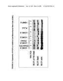 ISOLATION, CULTIVATION AND USES OF STEM/PROGENITOR CELLS diagram and image