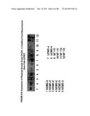 ISOLATION, CULTIVATION AND USES OF STEM/PROGENITOR CELLS diagram and image