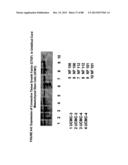 ISOLATION, CULTIVATION AND USES OF STEM/PROGENITOR CELLS diagram and image