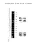 ISOLATION, CULTIVATION AND USES OF STEM/PROGENITOR CELLS diagram and image