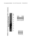 ISOLATION, CULTIVATION AND USES OF STEM/PROGENITOR CELLS diagram and image