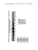 ISOLATION, CULTIVATION AND USES OF STEM/PROGENITOR CELLS diagram and image