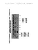 ISOLATION, CULTIVATION AND USES OF STEM/PROGENITOR CELLS diagram and image