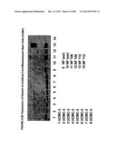 ISOLATION, CULTIVATION AND USES OF STEM/PROGENITOR CELLS diagram and image