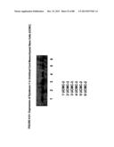 ISOLATION, CULTIVATION AND USES OF STEM/PROGENITOR CELLS diagram and image