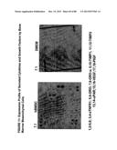 ISOLATION, CULTIVATION AND USES OF STEM/PROGENITOR CELLS diagram and image