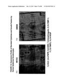 ISOLATION, CULTIVATION AND USES OF STEM/PROGENITOR CELLS diagram and image