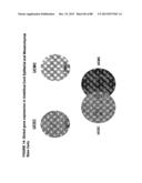 ISOLATION, CULTIVATION AND USES OF STEM/PROGENITOR CELLS diagram and image