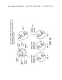 ISOLATION, CULTIVATION AND USES OF STEM/PROGENITOR CELLS diagram and image