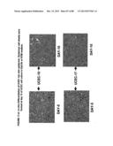 ISOLATION, CULTIVATION AND USES OF STEM/PROGENITOR CELLS diagram and image