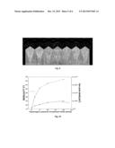 METHOD FOR HYDROGEN PLASMA TREATMENT OF A TRANSPARENT CONDUCTIVE OXIDE     (TCO) LAYER diagram and image