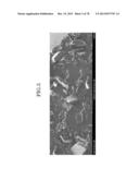 CARBON NANOTUBE AGGREGATE, CARBON NANOTUBE AGGREGATE HAVING A     THREE-DIMENSIONAL SHAPE, CARBON NANOTUBE MOLDED PRODUCT USING THE CARBON     NANOTUBE AGGREGATE, COMPOSITION, AND CARBON NANOTUBE DISPERSION LIQUID diagram and image