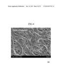 CARBON NANOTUBE AGGREGATE, CARBON NANOTUBE AGGREGATE HAVING A     THREE-DIMENSIONAL SHAPE, CARBON NANOTUBE MOLDED PRODUCT USING THE CARBON     NANOTUBE AGGREGATE, COMPOSITION, AND CARBON NANOTUBE DISPERSION LIQUID diagram and image