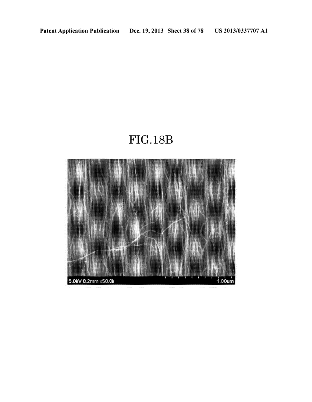 CARBON NANOTUBE AGGREGATE, CARBON NANOTUBE AGGREGATE HAVING A     THREE-DIMENSIONAL SHAPE, CARBON NANOTUBE MOLDED PRODUCT USING THE CARBON     NANOTUBE AGGREGATE, COMPOSITION, AND CARBON NANOTUBE DISPERSION LIQUID - diagram, schematic, and image 39