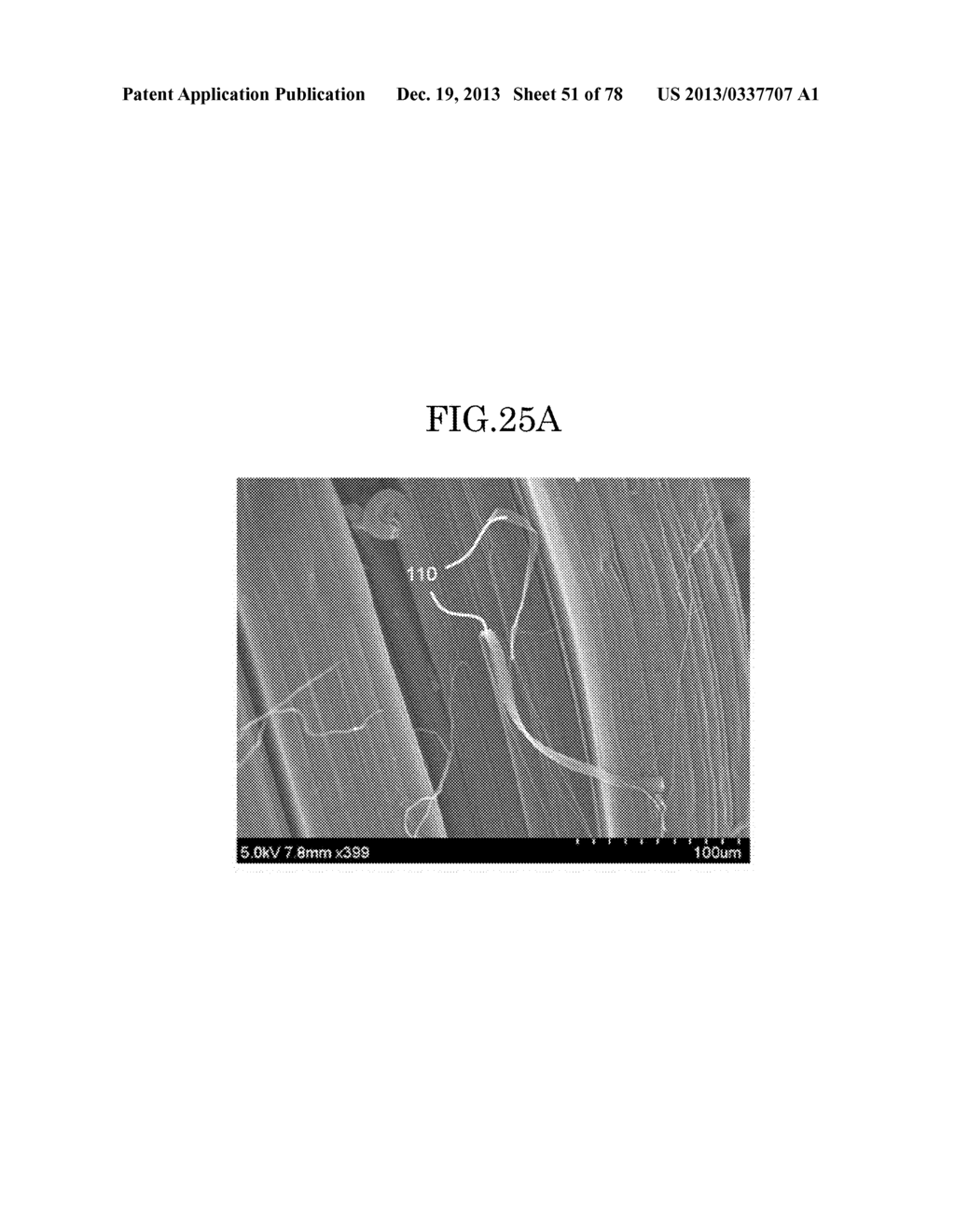 CARBON NANOTUBE AGGREGATE, CARBON NANOTUBE AGGREGATE HAVING A     THREE-DIMENSIONAL SHAPE, CARBON NANOTUBE MOLDED PRODUCT USING THE CARBON     NANOTUBE AGGREGATE, COMPOSITION, AND CARBON NANOTUBE DISPERSION LIQUID - diagram, schematic, and image 52