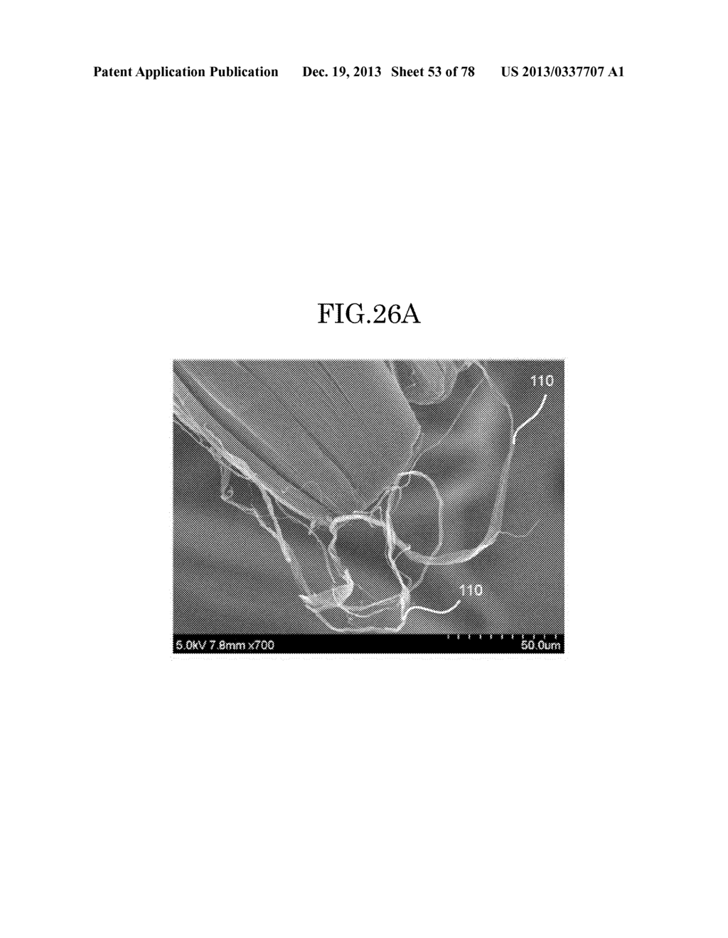 CARBON NANOTUBE AGGREGATE, CARBON NANOTUBE AGGREGATE HAVING A     THREE-DIMENSIONAL SHAPE, CARBON NANOTUBE MOLDED PRODUCT USING THE CARBON     NANOTUBE AGGREGATE, COMPOSITION, AND CARBON NANOTUBE DISPERSION LIQUID - diagram, schematic, and image 54