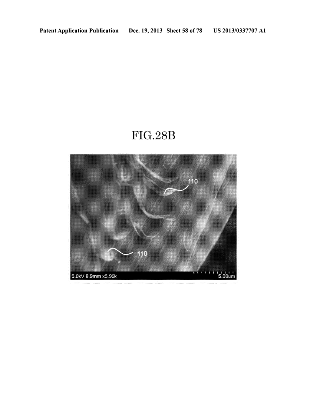 CARBON NANOTUBE AGGREGATE, CARBON NANOTUBE AGGREGATE HAVING A     THREE-DIMENSIONAL SHAPE, CARBON NANOTUBE MOLDED PRODUCT USING THE CARBON     NANOTUBE AGGREGATE, COMPOSITION, AND CARBON NANOTUBE DISPERSION LIQUID - diagram, schematic, and image 59