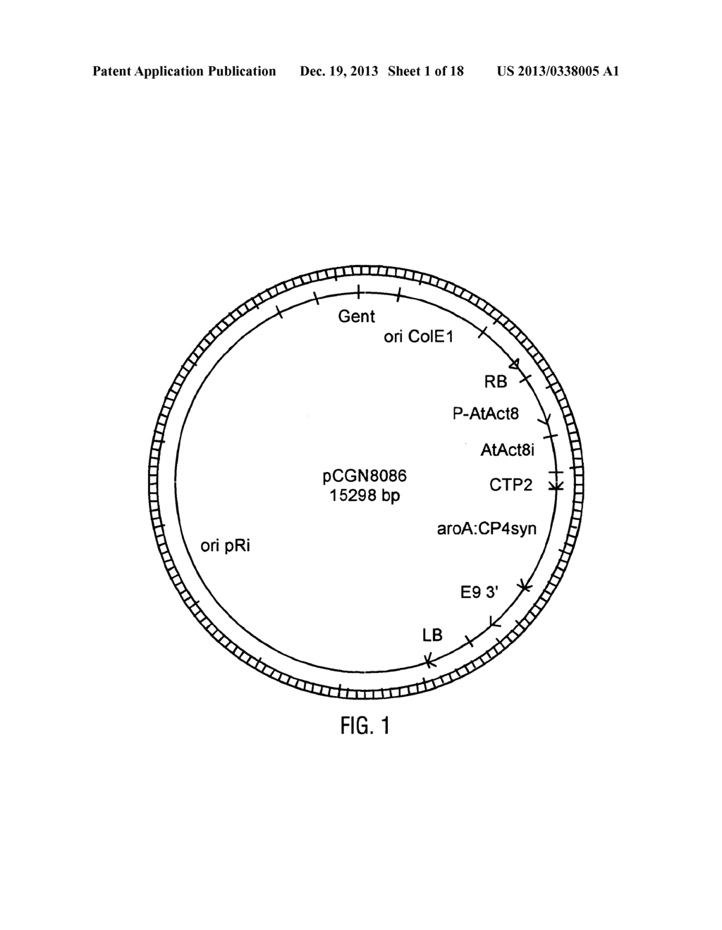 HYBRID CAULIMOVIRUS PROMOTERS AND CONSTRUCTS THEREOF - diagram, schematic, and image 02