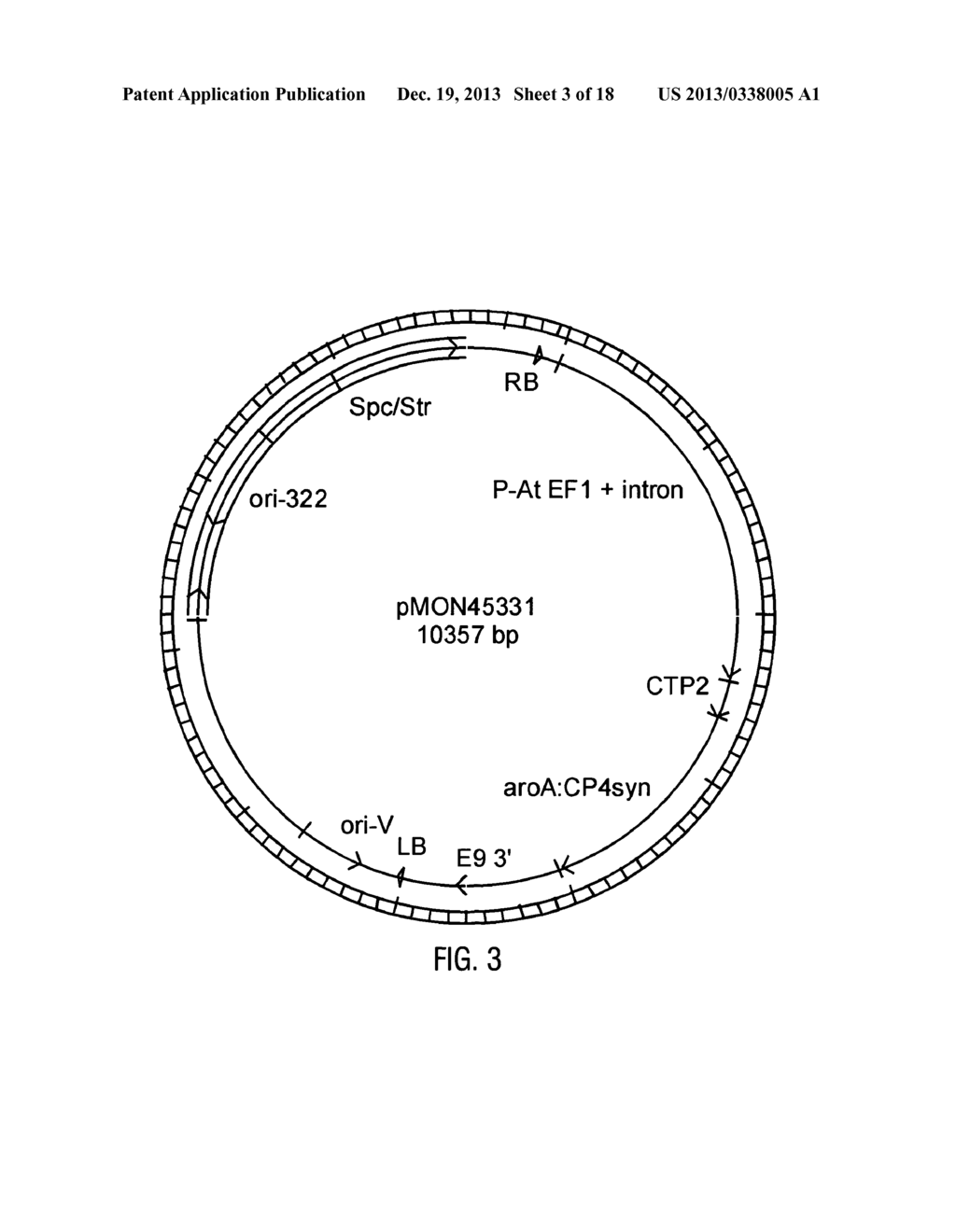 HYBRID CAULIMOVIRUS PROMOTERS AND CONSTRUCTS THEREOF - diagram, schematic, and image 04