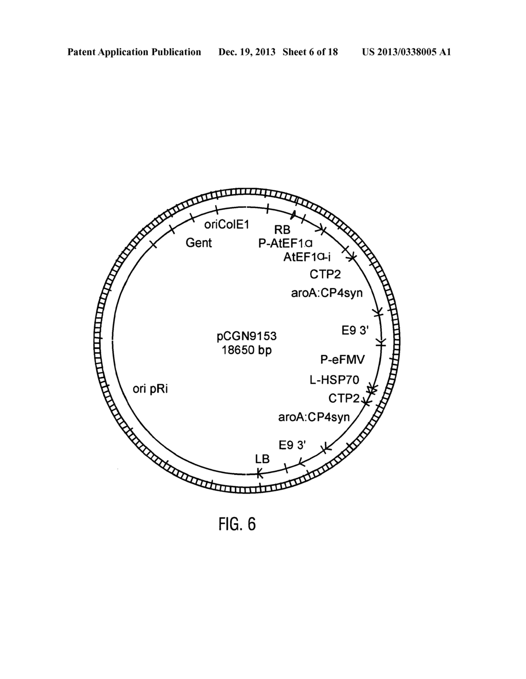 HYBRID CAULIMOVIRUS PROMOTERS AND CONSTRUCTS THEREOF - diagram, schematic, and image 07