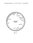 HYBRID CAULIMOVIRUS PROMOTERS AND CONSTRUCTS THEREOF diagram and image