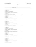 HYBRID CAULIMOVIRUS PROMOTERS AND CONSTRUCTS THEREOF diagram and image