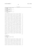 HYBRID CAULIMOVIRUS PROMOTERS AND CONSTRUCTS THEREOF diagram and image