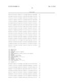 HYBRID CAULIMOVIRUS PROMOTERS AND CONSTRUCTS THEREOF diagram and image