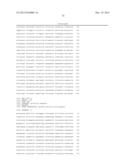 HYBRID CAULIMOVIRUS PROMOTERS AND CONSTRUCTS THEREOF diagram and image